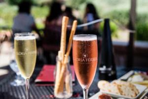 2026年世界杯时间表一览表，全球球迷的期待与关注2026世界杯时间表一览表