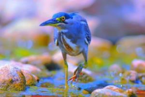 2022年世界杯亚洲区预选赛18强，激情与实力的较量世界杯亚洲区预选赛18强