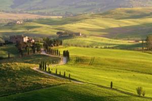 2026年世界杯时间表一览表，全球球迷的期待与关注2026世界杯时间表一览表